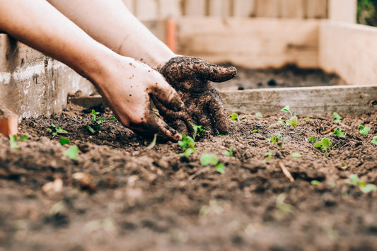 How to Reconnect With Nature and Find Your Inner Peace