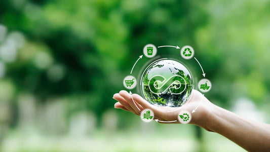 Top 5 Must-Read Books for Entrepreneurs in the Circular Economy