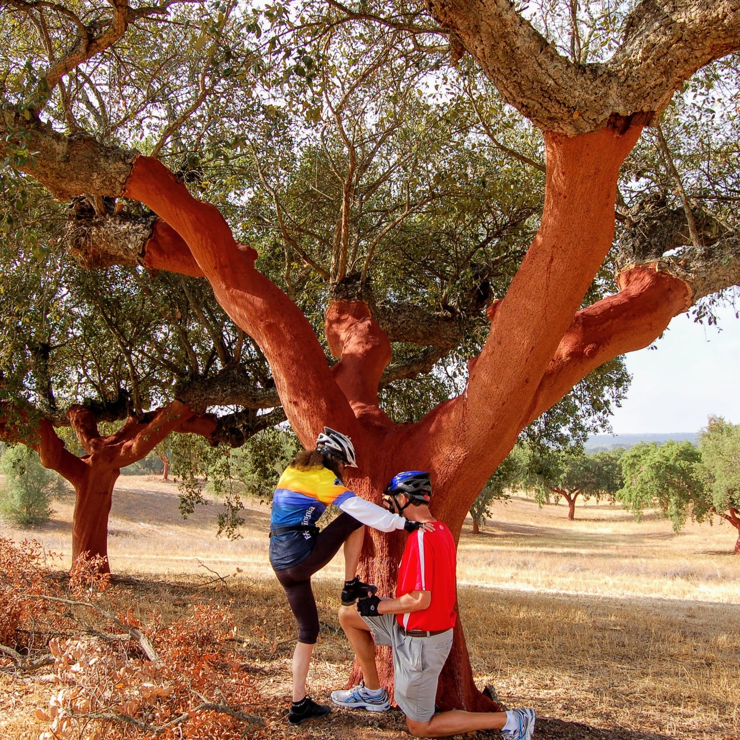 Alentejo Wine Country Bike Tour Guide-Routzz