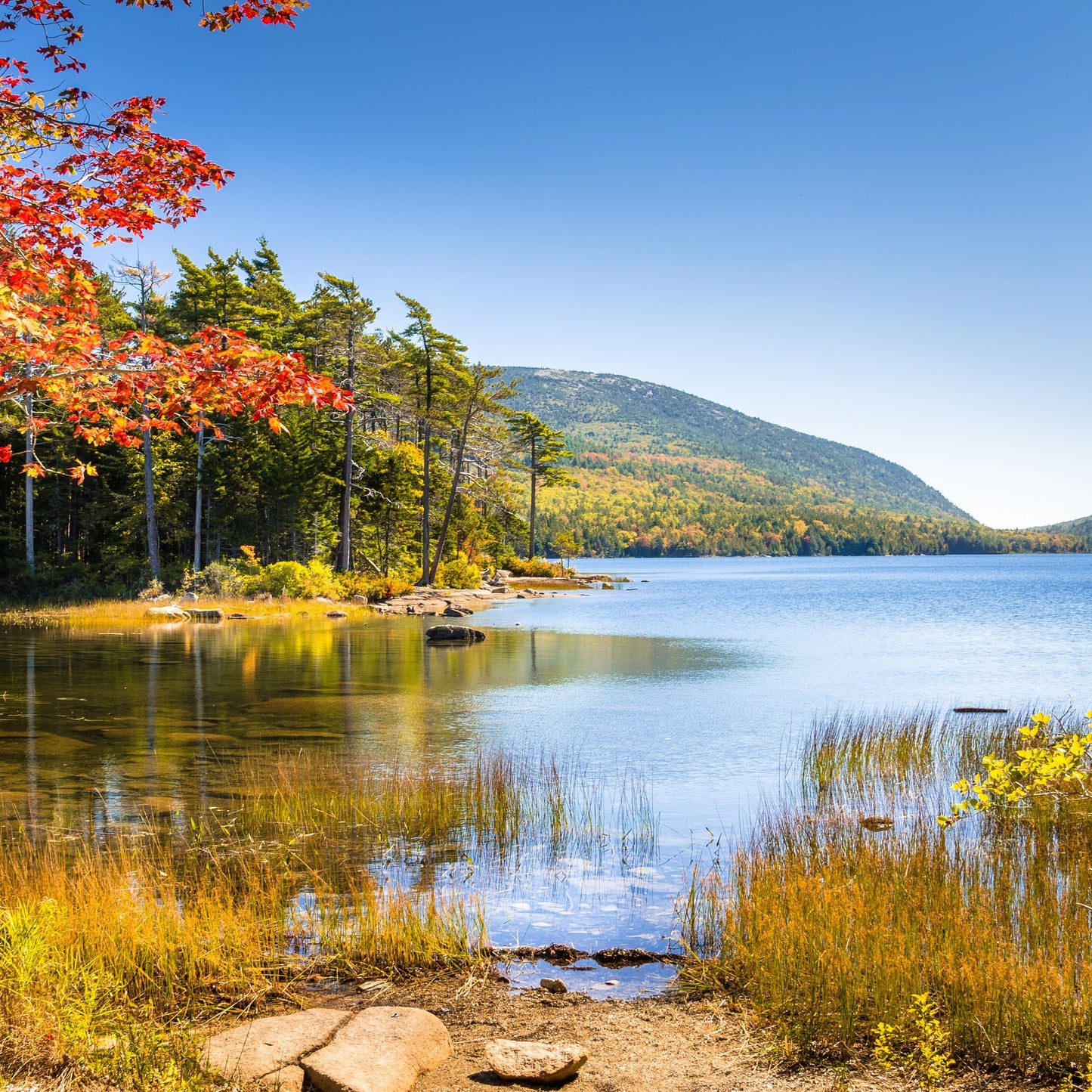 Mount Desert Island Maine Road Bike Tour Guide-Routzz