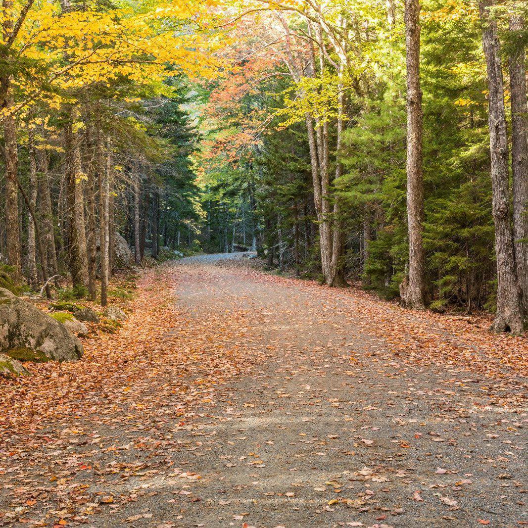 Mount Desert Island Maine Road Bike Tour Guide-Routzz