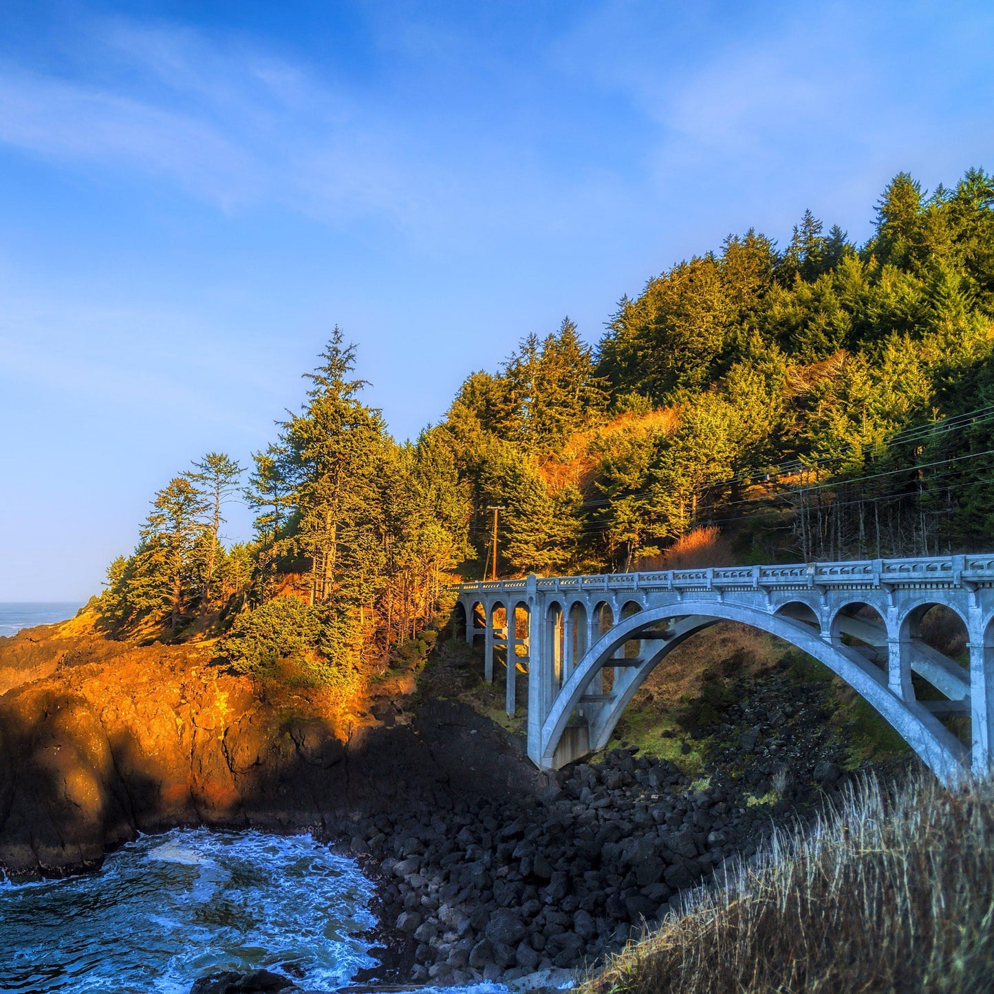 Oregon Coast Road Bike Tour Guide-Routzz
