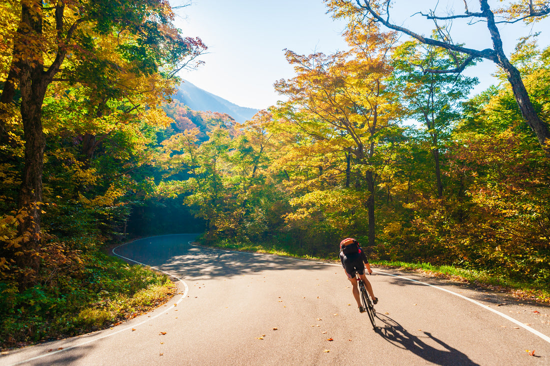 Discover the Beauty of Vermont Bicycle Touring in the Northeast Kingdom