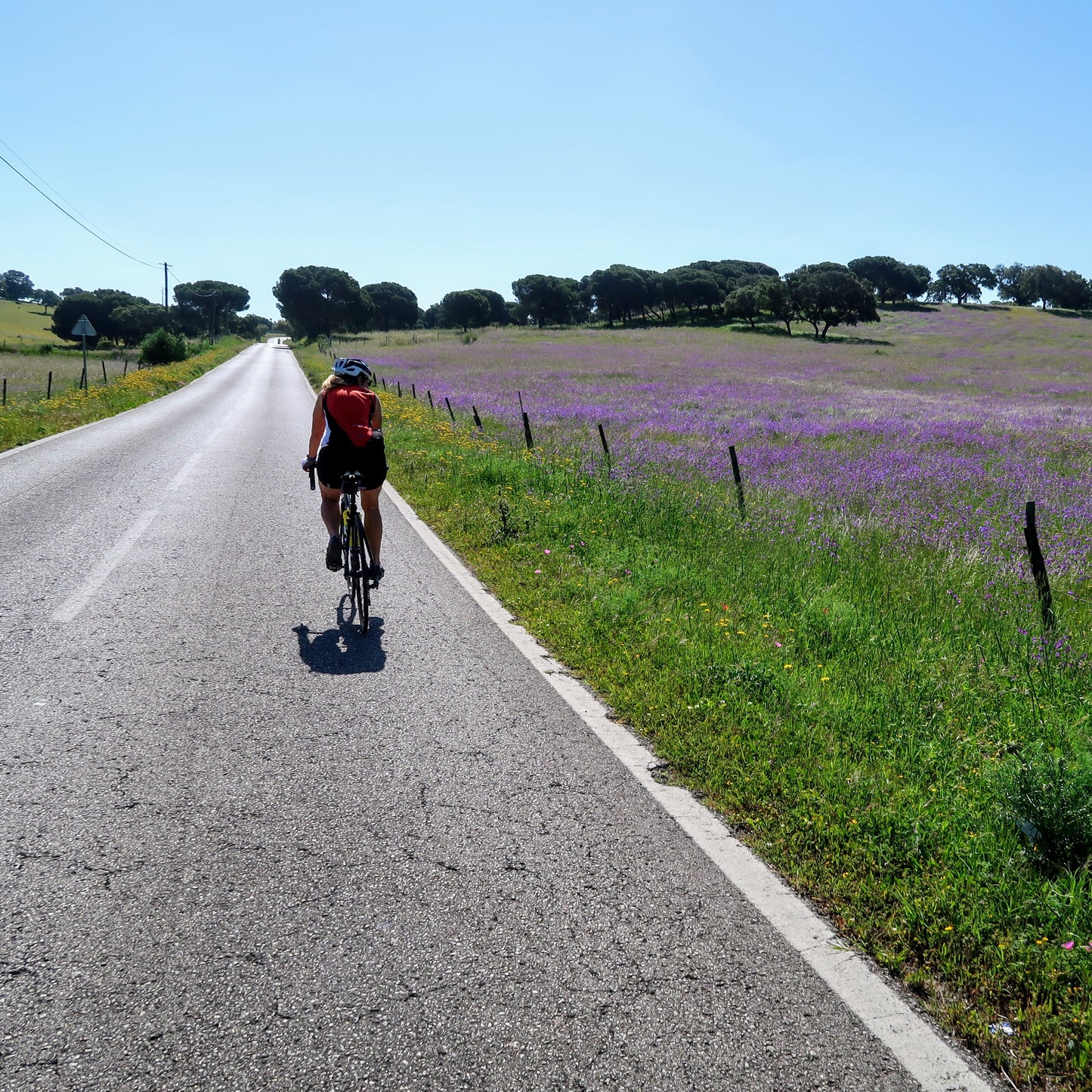 Alentejo Wine Country Bike Tour Guide-Routzz