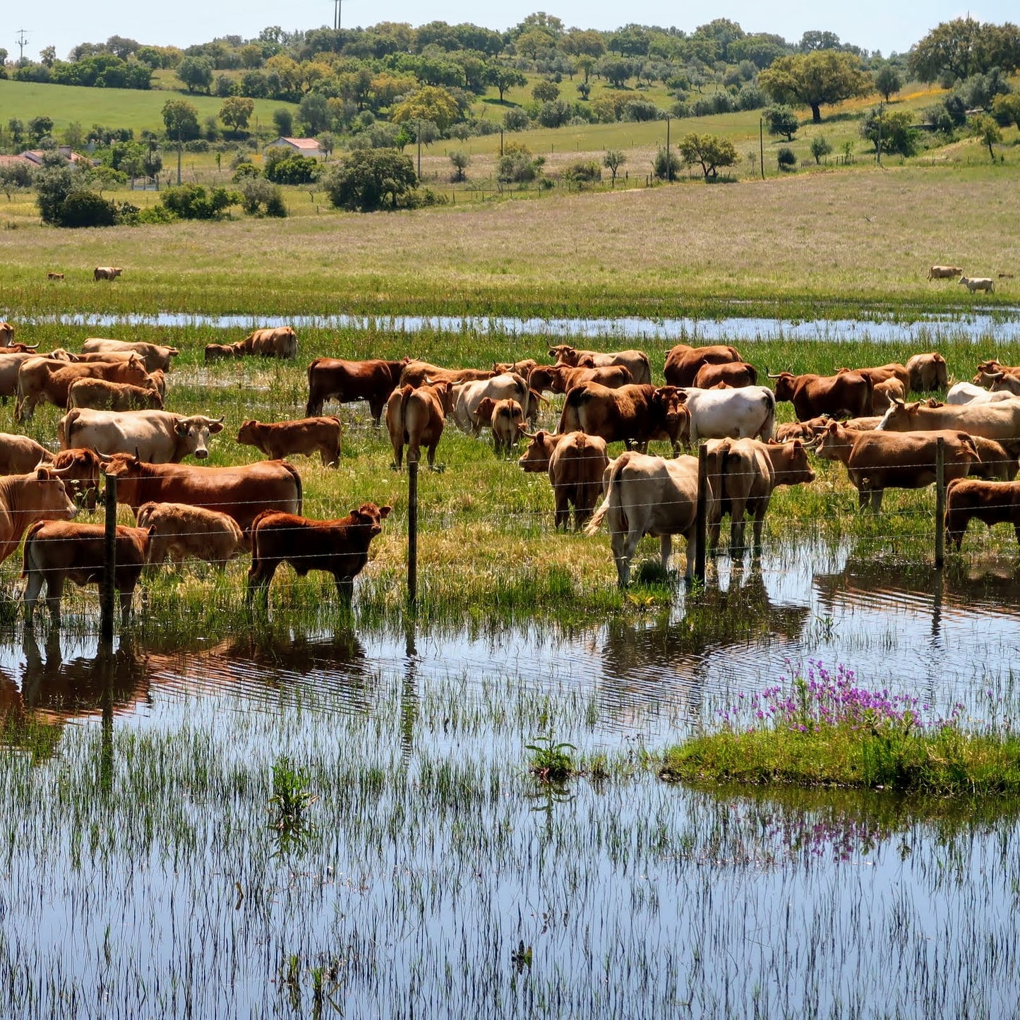 Alentejo Wine Country Bike Tour Guide-Routzz