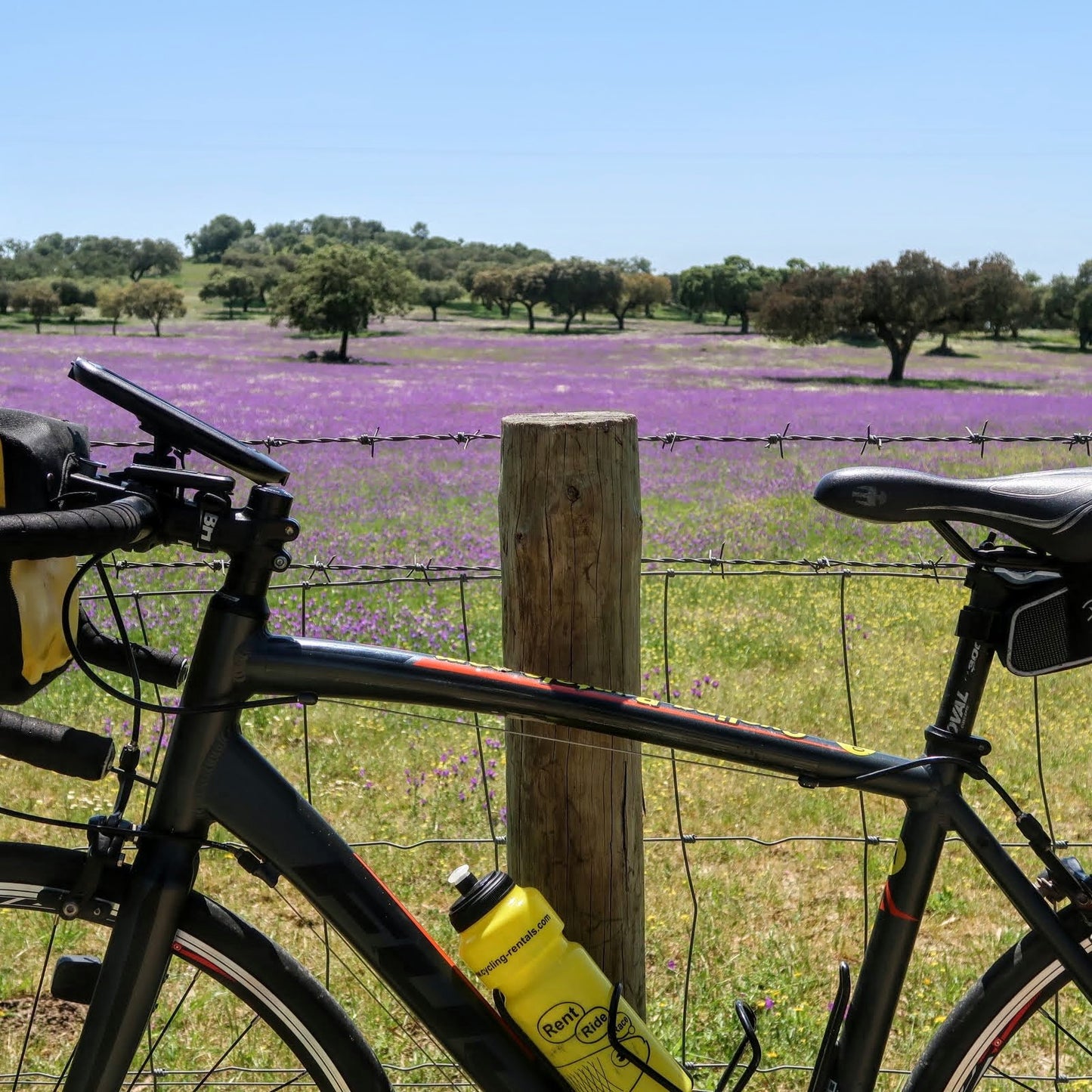 Alentejo Wine Country Bike Tour Guide-Routzz