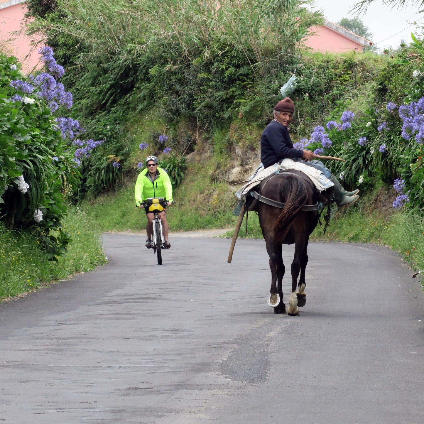 Azores Bike Tour Guide