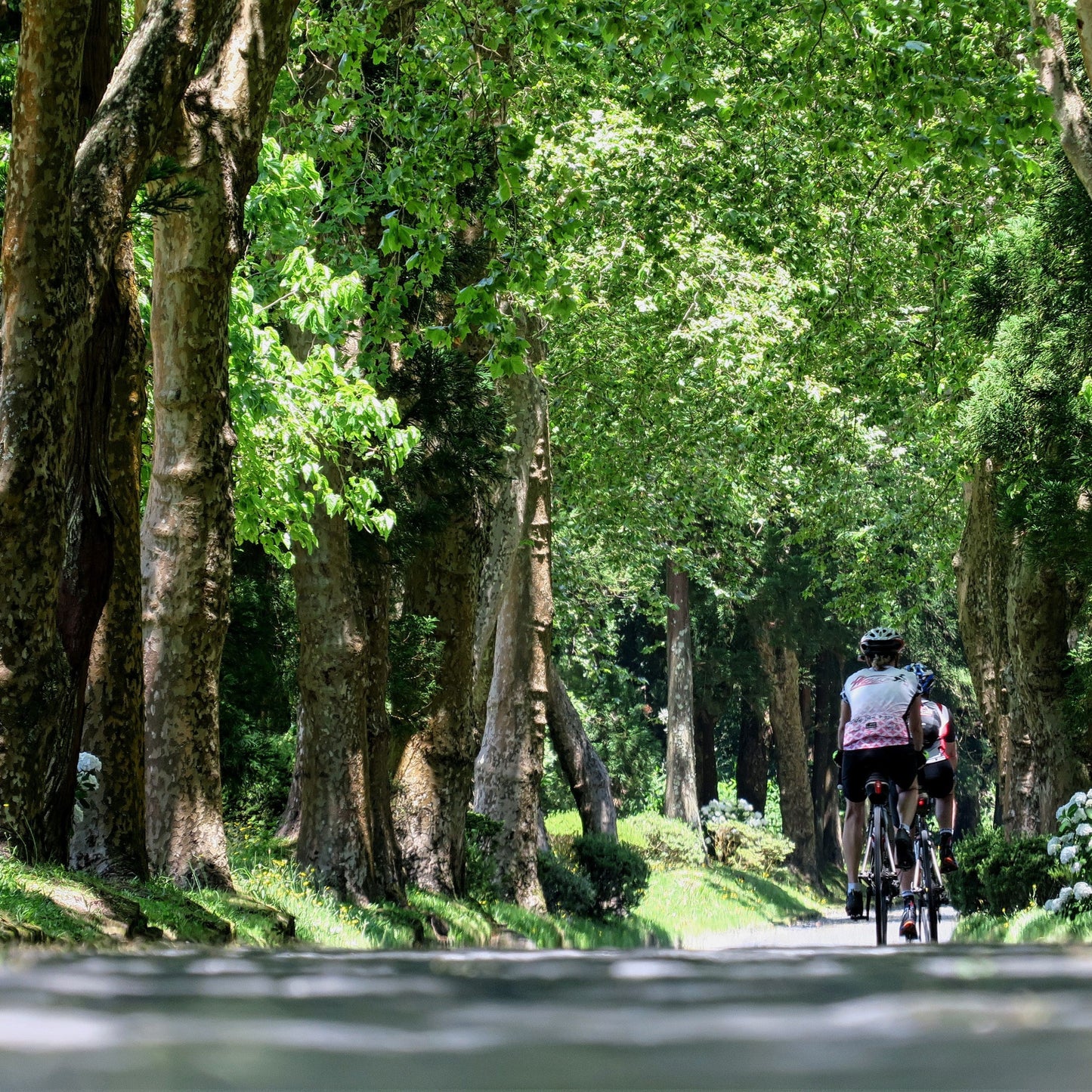 Azores Bike Tour Guide