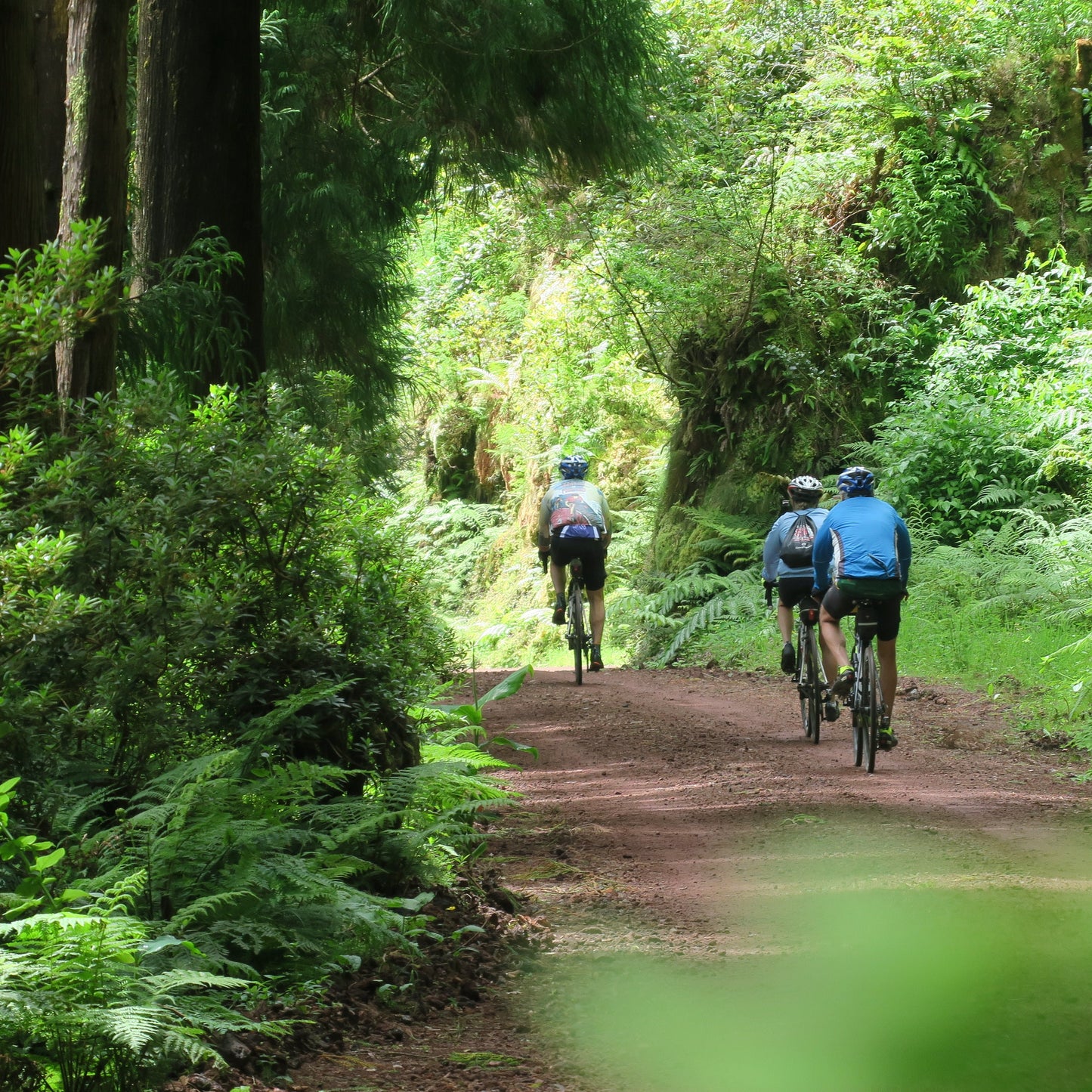 Azores Bike Tour Guide