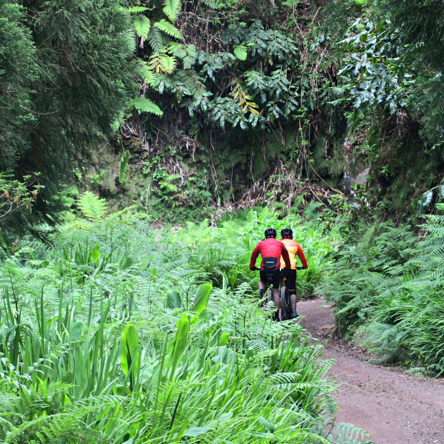 Azores Bike Tour Guide