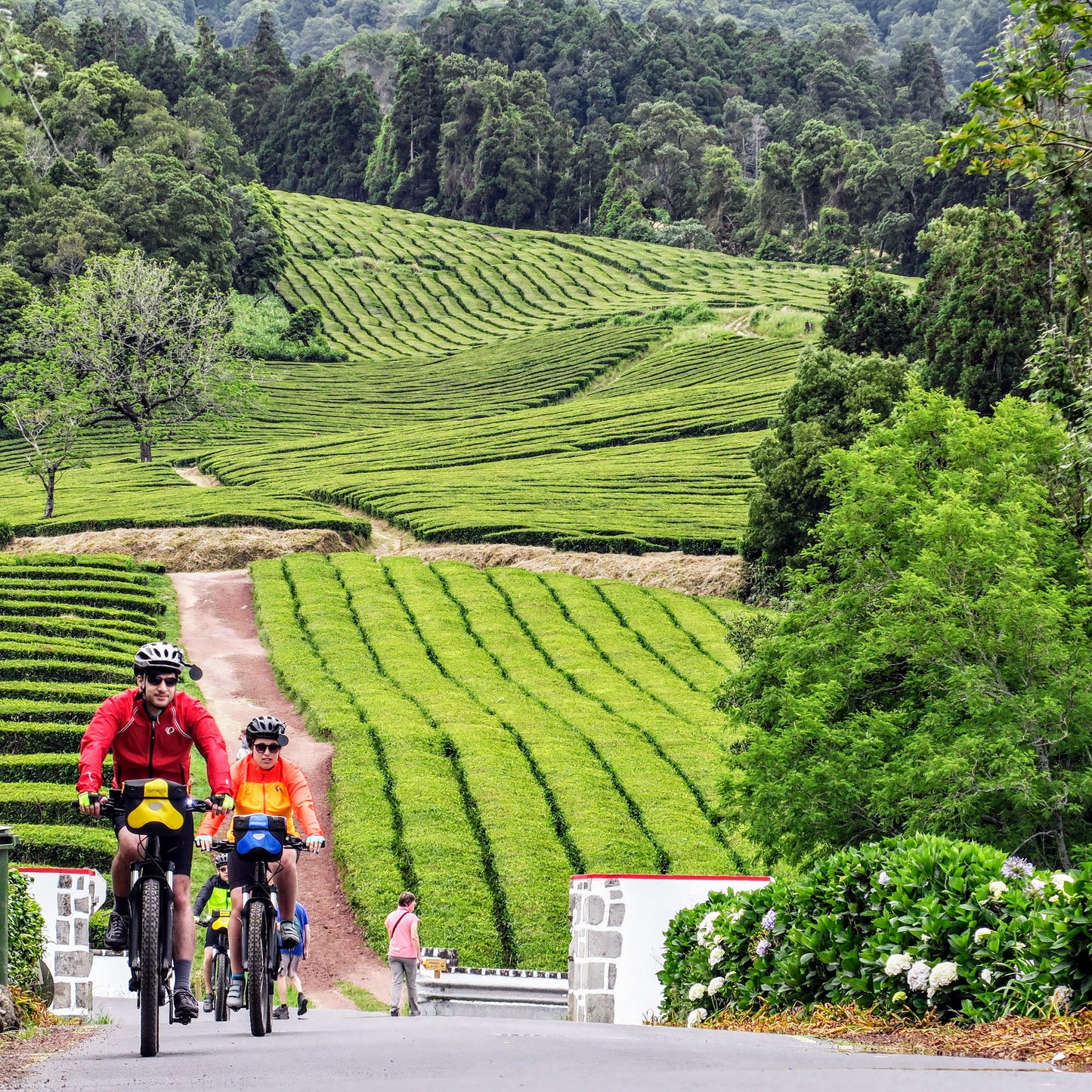 Azores Bike Tour Guide