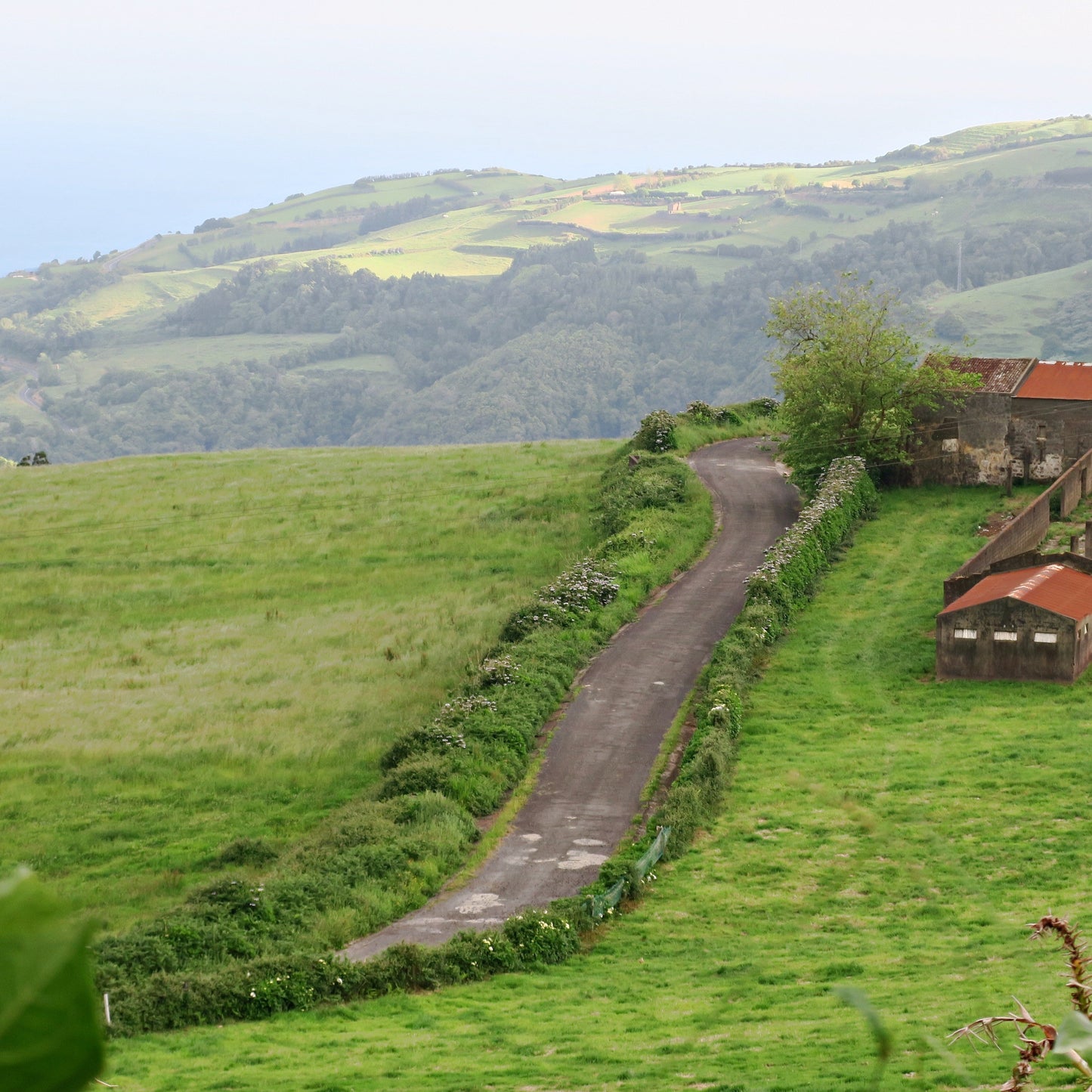 Azores Bike Tour Guide