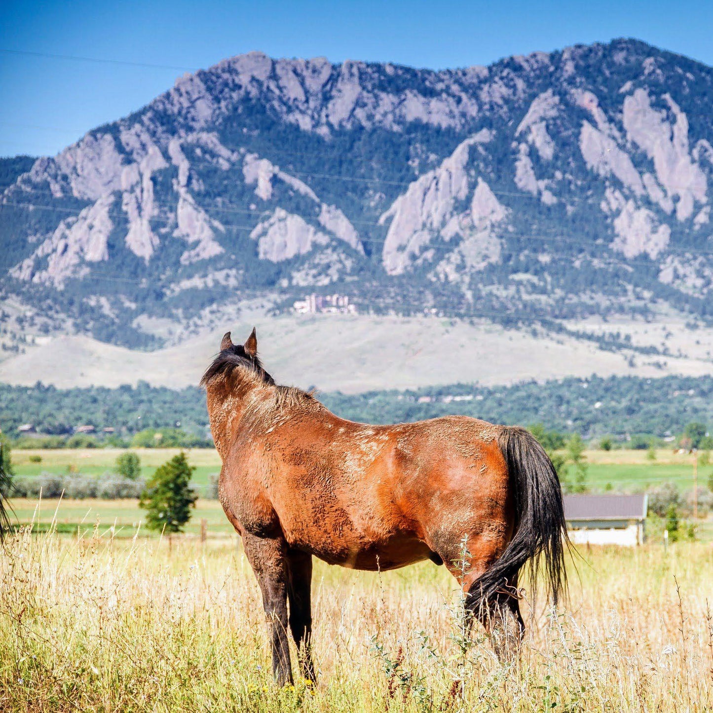 Boulder Colorado Gravel Bike Tour Guide-Routzz