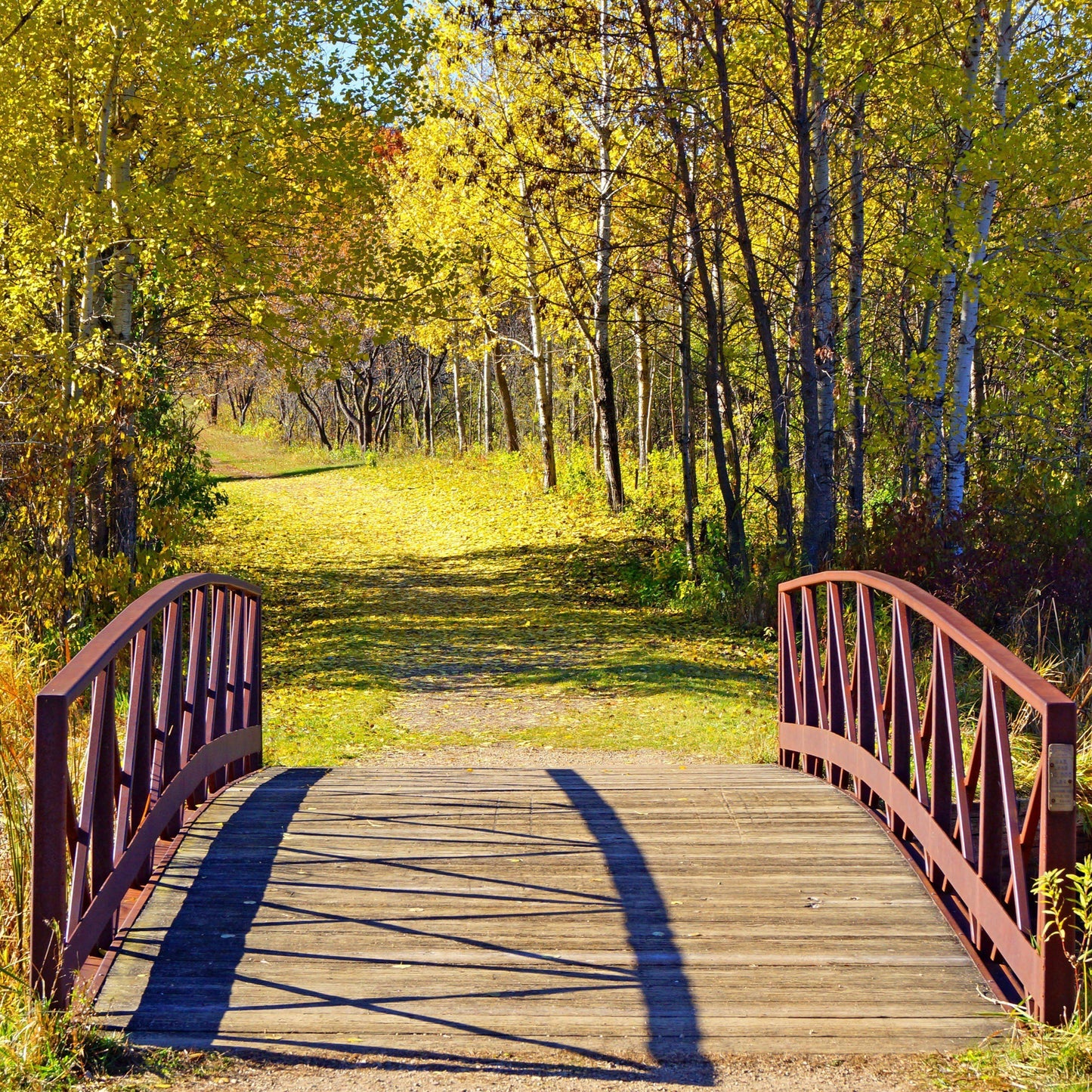 Carver Park Reserve Minneapolis Overnight Bike Tour Guide-Routzz