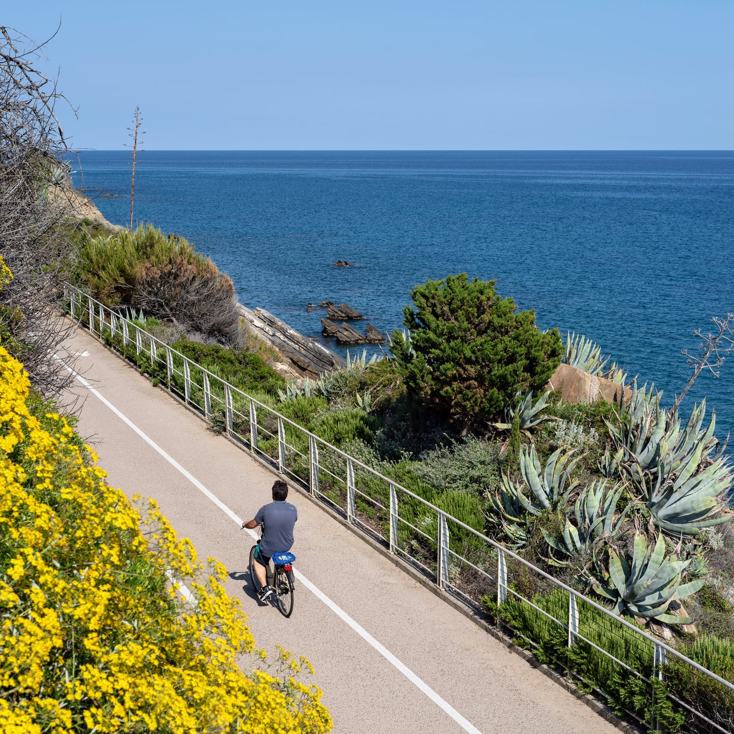 Liguria Cinque Terre Bike Tour Guide-Routzz