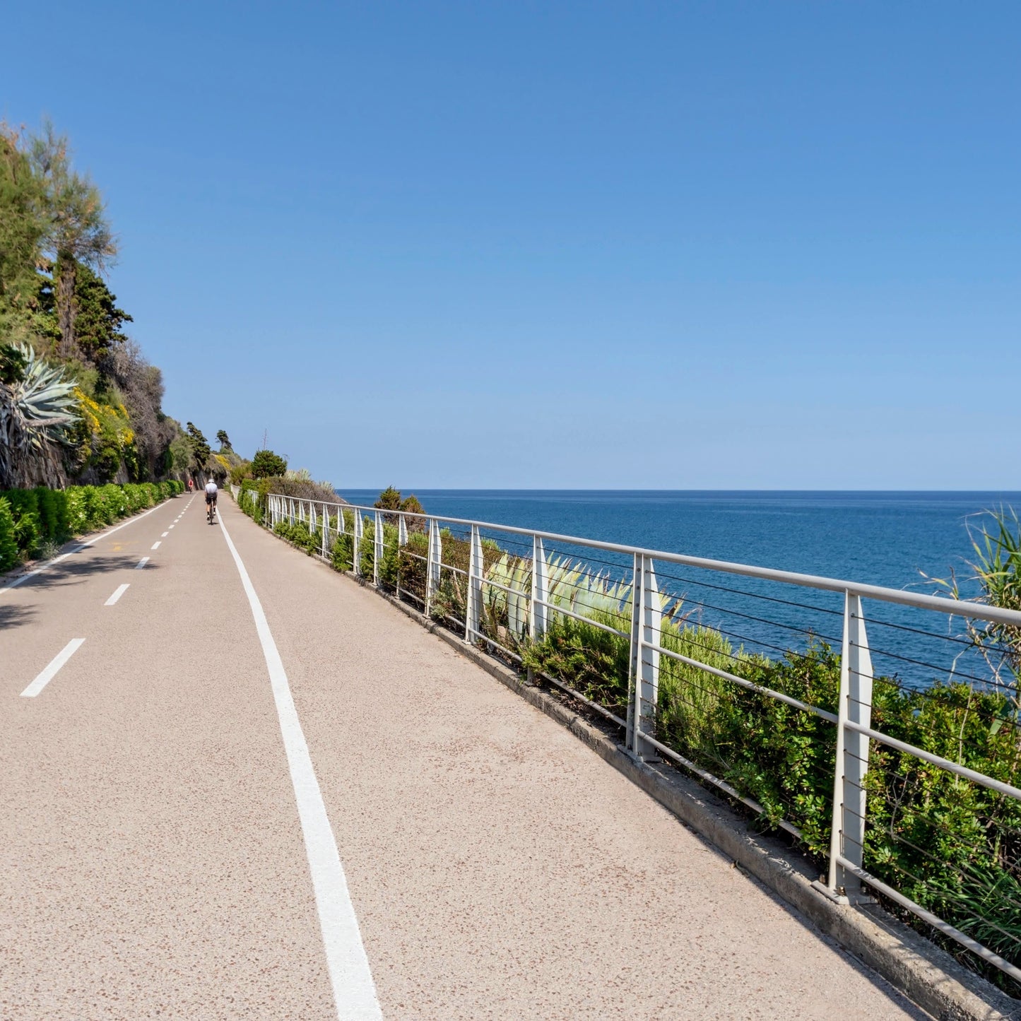 Liguria Cinque Terre Bike Tour Guide-Routzz