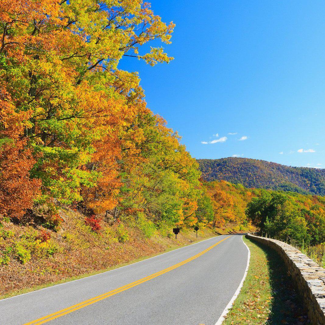 Shenandoah Valley Gravel Bike Tour Guide-Routzz