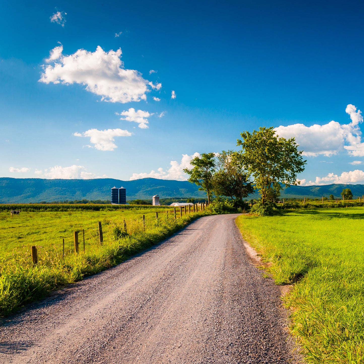 Shenandoah Valley Gravel Bike Tour Guide-Routzz