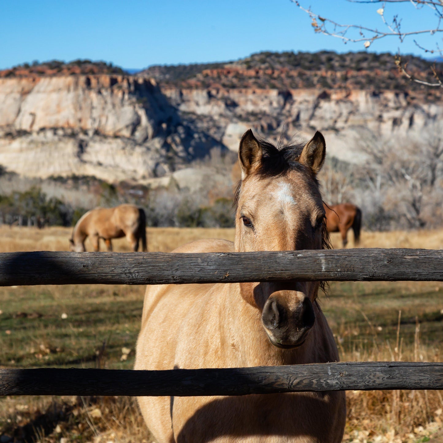 Utah Scenic Byway 12 Bike Tour Guide-Routzz